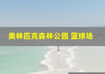 奥林匹克森林公园 篮球场